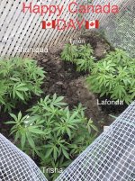 photo81360.jpg