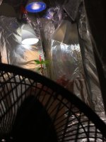 26060915-635C-4D0E-9AAE-AC9A0ACB4C61.jpeg