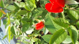 20190710_182157.jpg