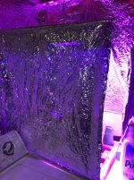 7C150891-CE1C-4103-A8AC-F62D4682EEEA.jpeg