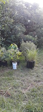 20190727_093723.jpg