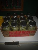 photo84599.jpg