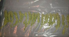 photo8682.jpg