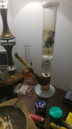 20170127_192704-1494x2656.jpg
