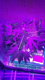 20170130_093423.jpg