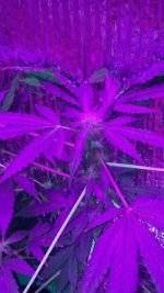20170130_093448.jpg