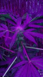 20170130_093503.jpg