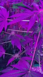 20170130_093524.jpg