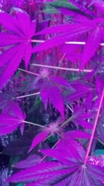 20170130_093528.jpg