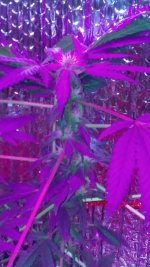 20170130_093544.jpg
