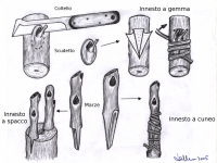 photo9439.png