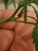 20190826_123804.jpg