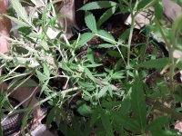 20190904_153314.jpg