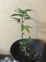photo86725.jpg