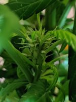 photo86849.jpg