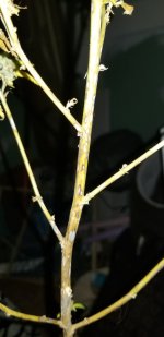 Resized_20190930_110248.jpeg