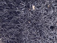 729A57C7-0E5D-41B3-9781-8DD9133CF0A3.jpeg