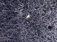 822B8C79-737A-4ED1-B0F5-ED0EF261FE42.jpeg