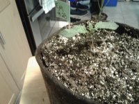 20191008_052535.jpg