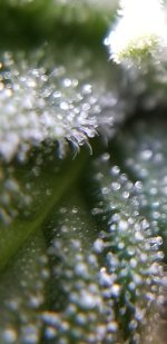 20191012_163458.jpg