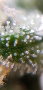 20191012_163556.jpg