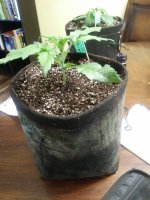 20191014_102314.jpg