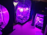 IMG_20191017_190417144.jpg