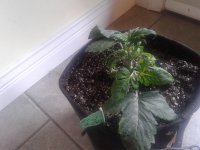 20191020_052439.jpg