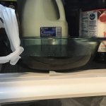 34ED76E9-5307-4F01-A04C-27FC4CE02352.jpeg