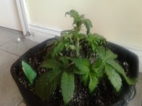 20191024_045815.jpg