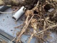 photo89124.jpg