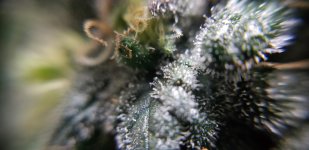 photo89914.jpg