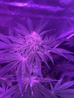 photo91219.jpg