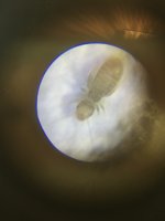 D0513D00-B510-40B6-95BC-49F294932D3A.jpeg