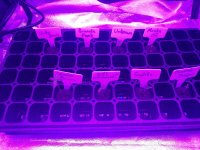 IMG_20191204_150342234.jpg