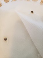 20191204_120313.jpg