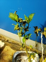20191208_095547.jpg