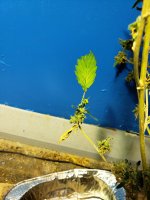 20191208_095556.jpg