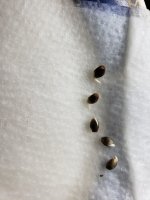 20191215_093558.jpg
