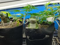 20191215_131154.jpg