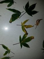 20191218_120513.jpg