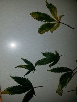 20191218_120518.jpg