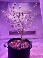 20191107_213107.jpg