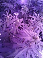 20191224_135822.jpg