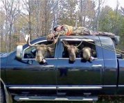 moose hunting.jpg