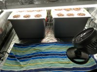 photo93142.jpg