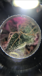 D34B57C2-A833-4BB6-9087-842347EF64F8.png