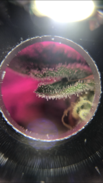 7B8763A2-DED5-40C5-9AE7-99FD4CEA23F1.png