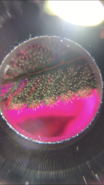 5213475A-D0D1-48AE-9D1C-EDCD0AD05D70.png