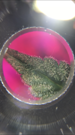 1F9623DC-0401-40D0-A27B-B16672C34D0D.png